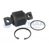 503142409-IVECO