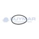 17297380-IVECO