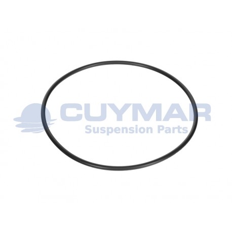 17299681-IVECO