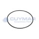 17299681-IVECO