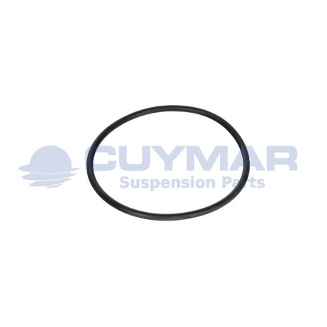 17298081-IVECO