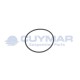 3308173-CUYMAR