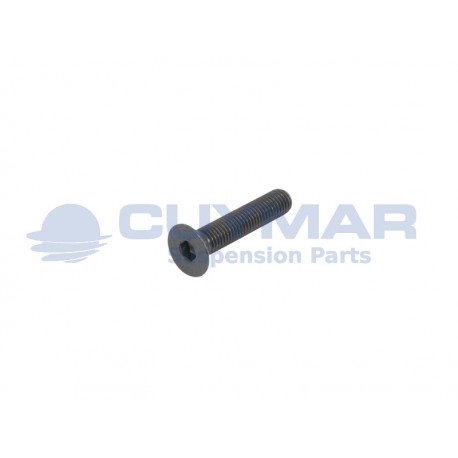 1699568-DAF