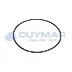 17299681-IVECO