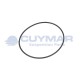 42050613-IVECO