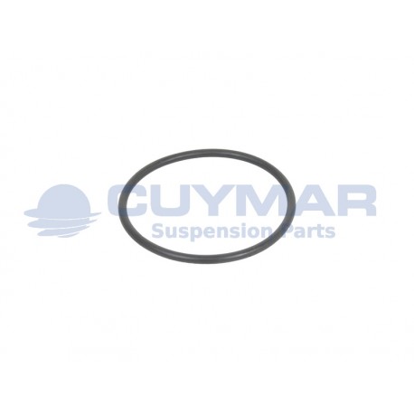 1166124-IVECO